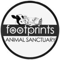 Footprints Animal Sanctuary