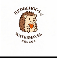 Hedeghogs of Waterhayes Rescue
